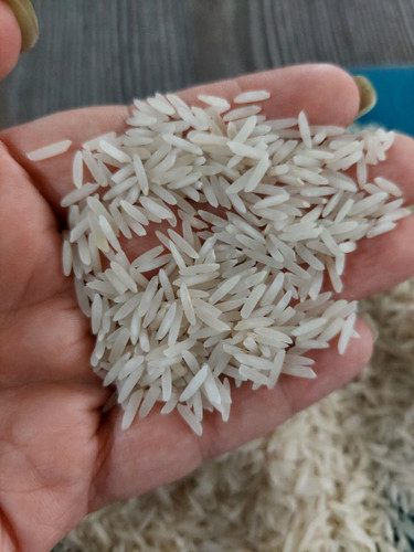 برنج طارم محلی شیروان ایلام